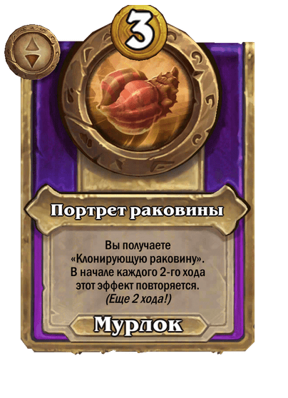 Портрет раковины Малый