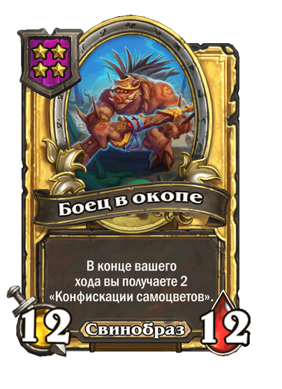 Золотая Боец в окопе