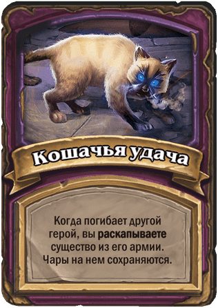 Кошачья удача