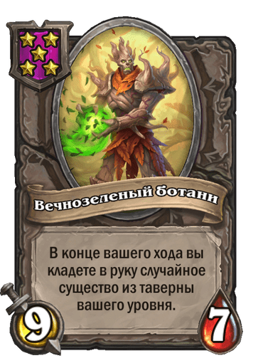 Вечнозеленый ботани